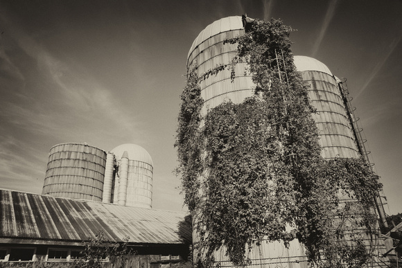 Tower of Silos